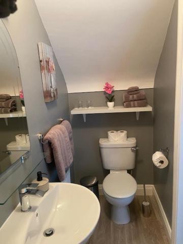 Knockaguilla House Bed & Breakfast Дулін Екстер'єр фото